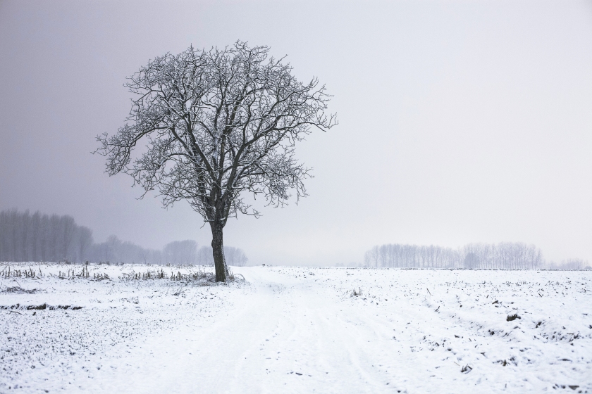 cold-snow-landscape-nature