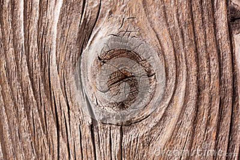 knot-tree-trunk-84928768